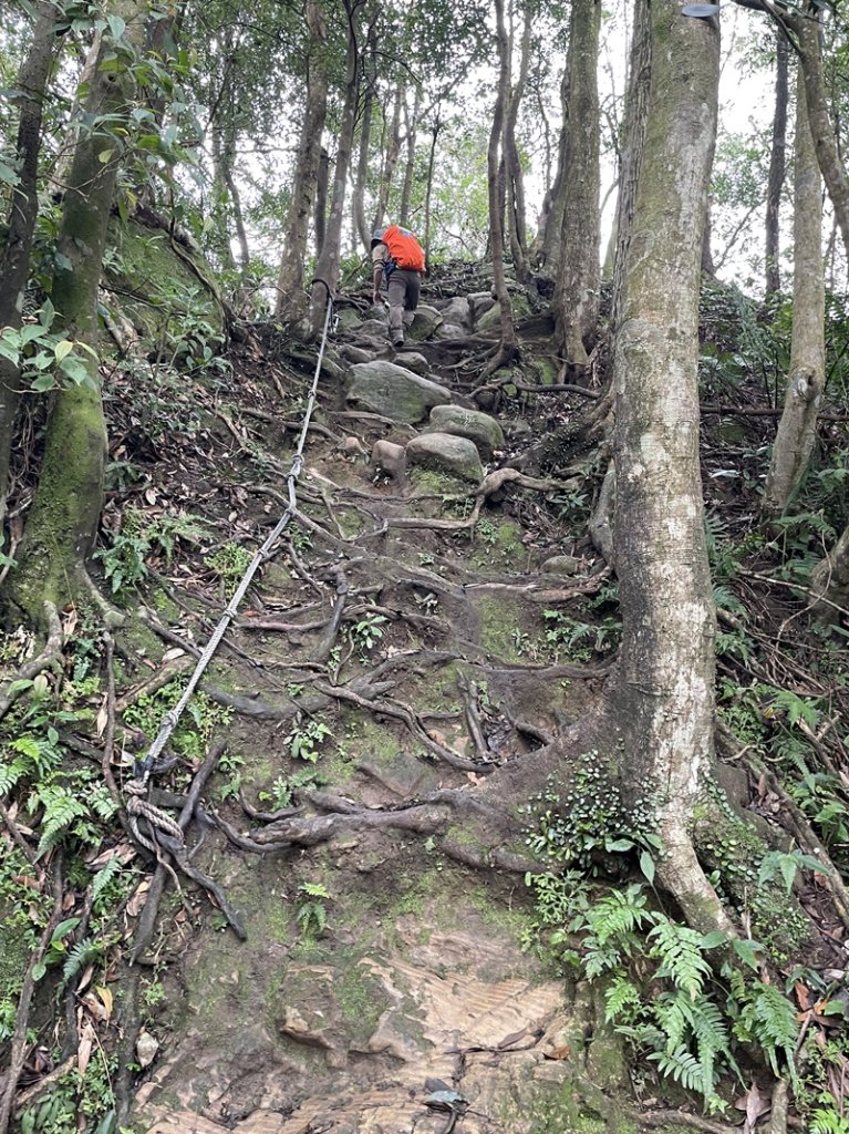 猴山坑古道_2706749