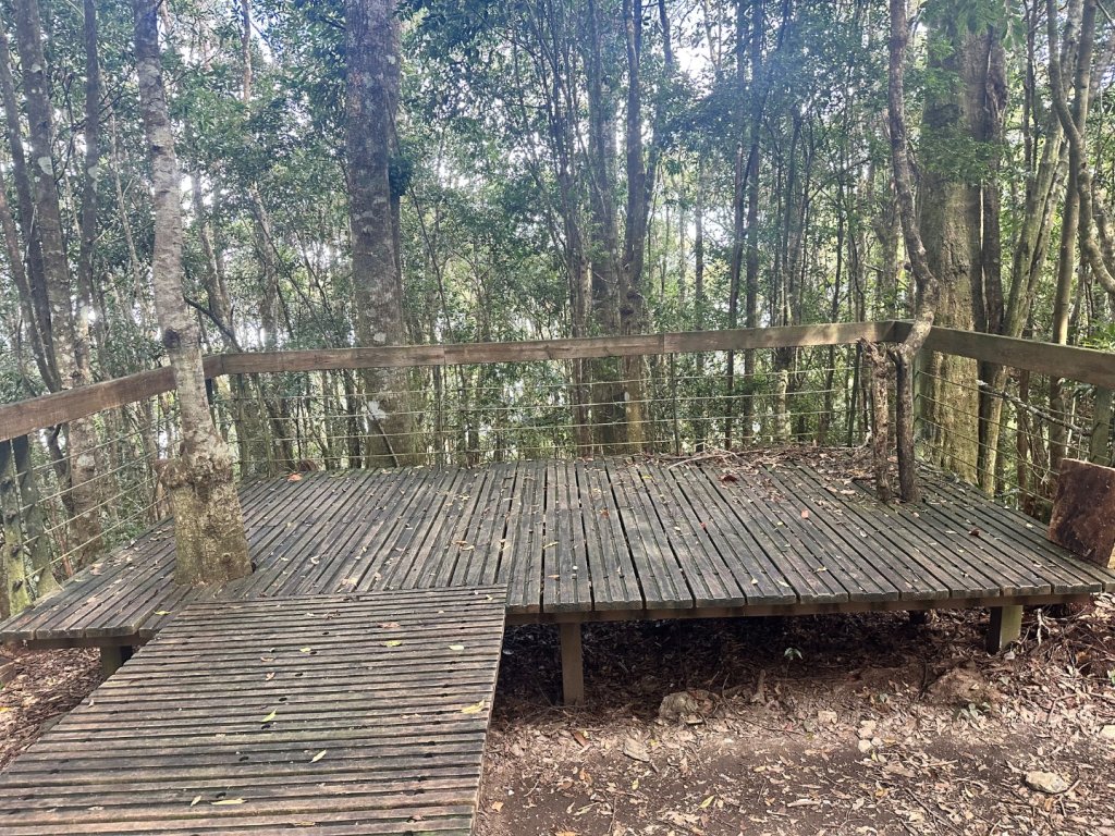 南投魚池-水社大山_2612622