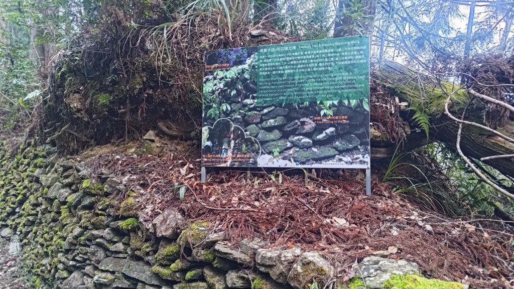 梅峰山地農場立鷹山_2749402