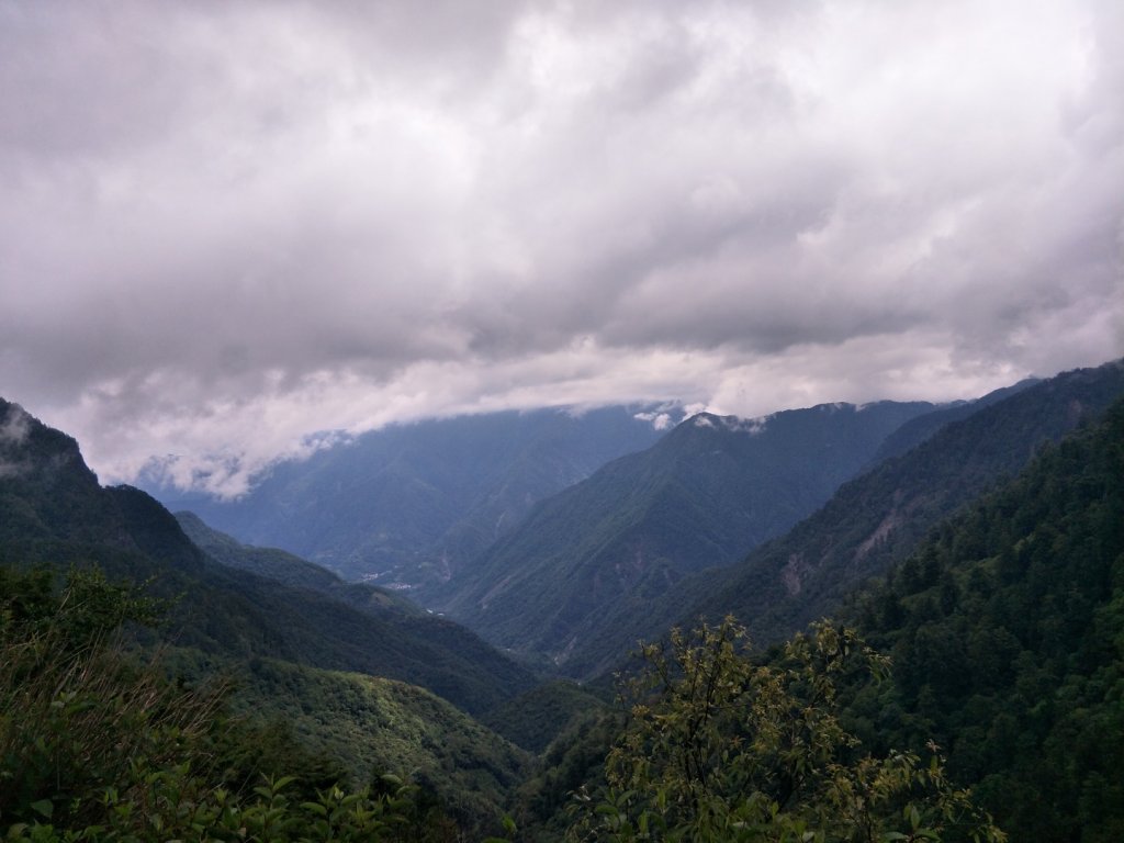 塔塔加步道(東埔大草原-大杉登山步道_1430027