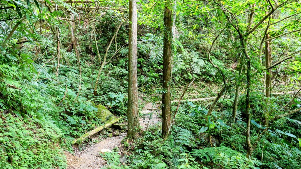 雲森瀑布_2872193