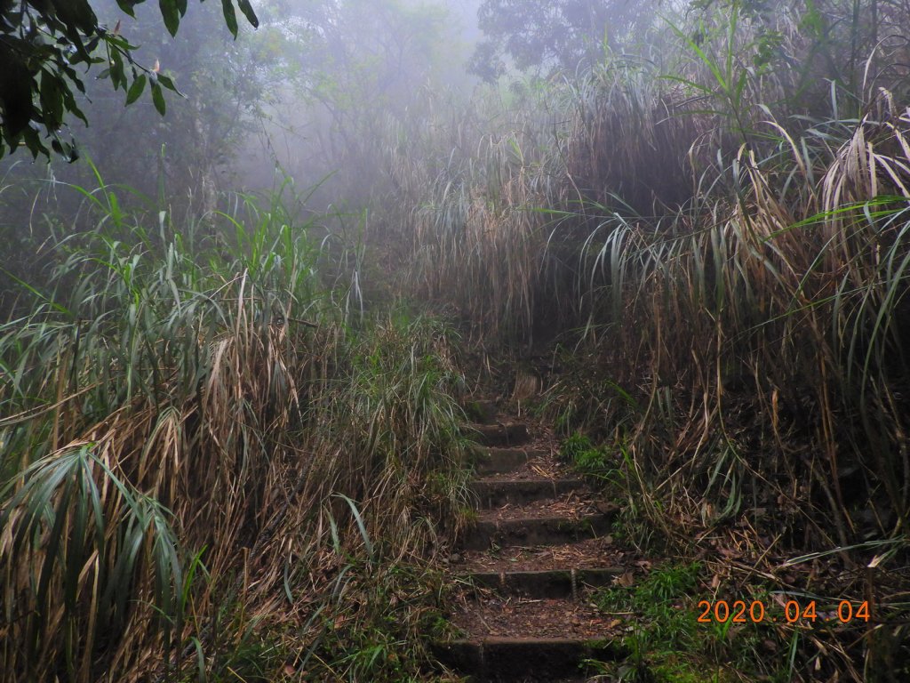 苗栗 泰安 東洗水山_903667