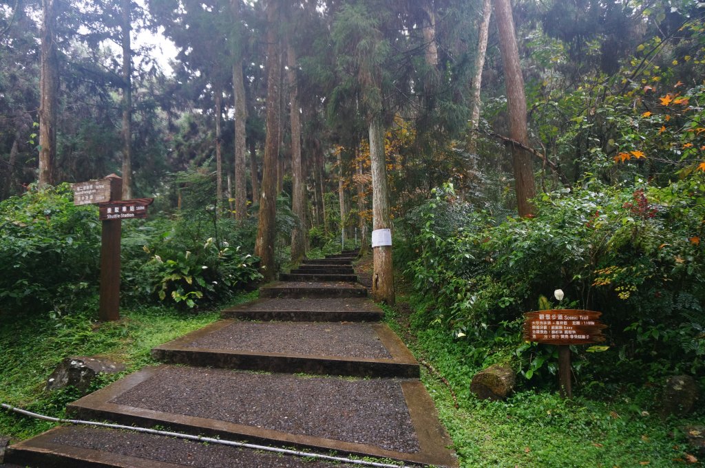 溪頭自然教育園區_2016900