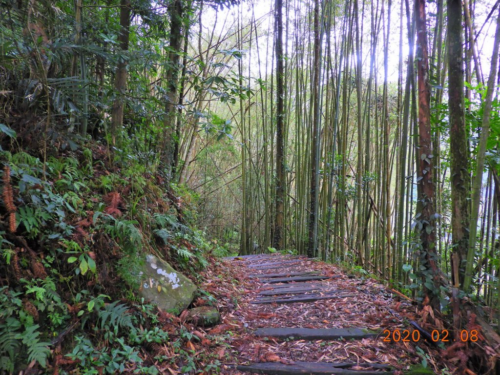 新竹 五峰 梅后蔓瀑布_828410