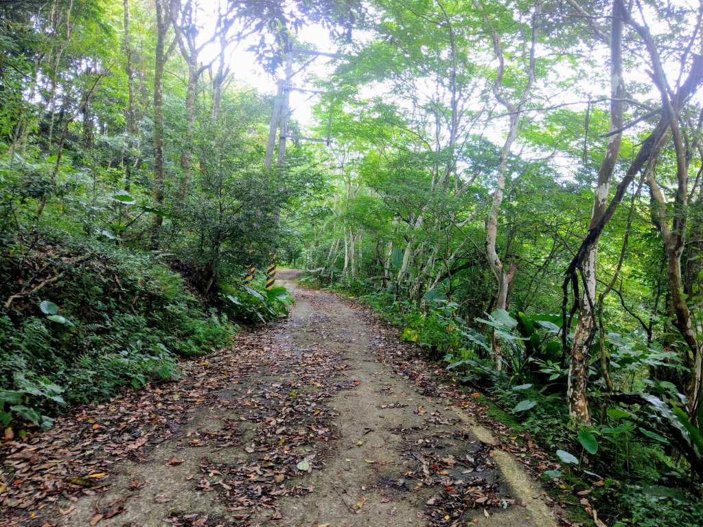 花蓮初音山(小百岳#88)_1026628