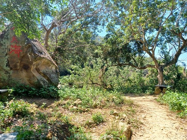 【台中北屯】搭公車趣爬山。 #42 小百岳南觀音山步道_2601638