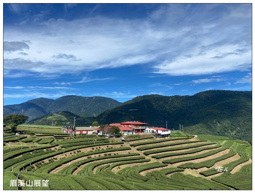 眉溪山茶園秘境_2612548