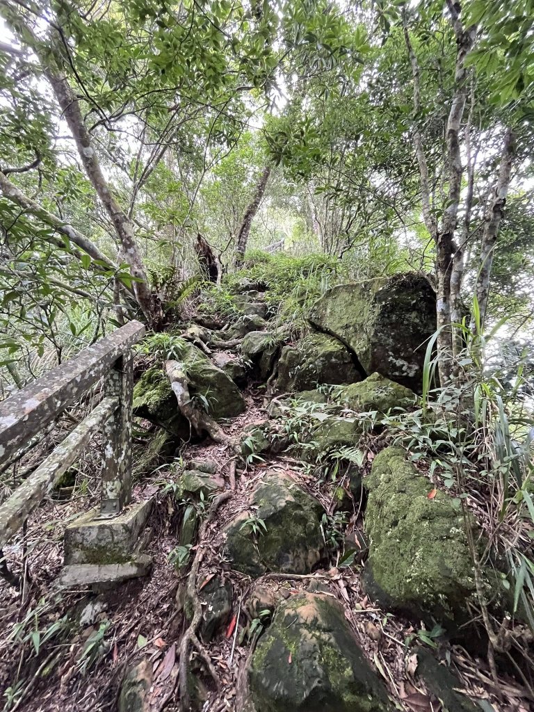 九份二山_2866782