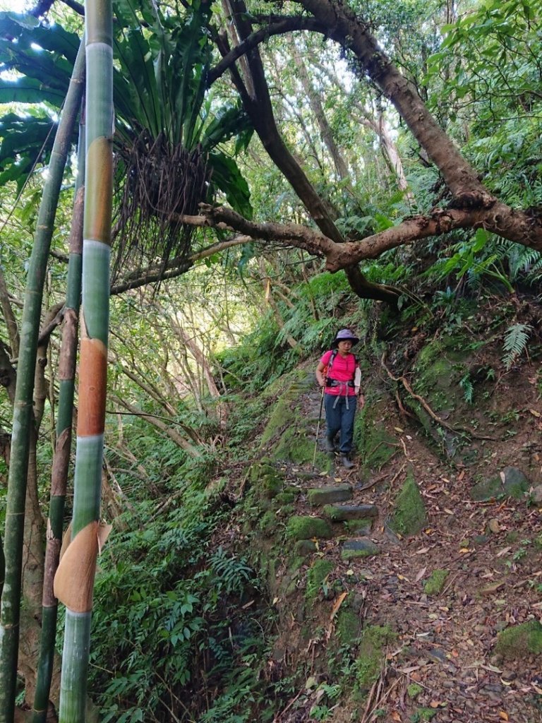 畝畝山、青林山、石古井、石硿子瀑布、石硿子古道O走_1492777
