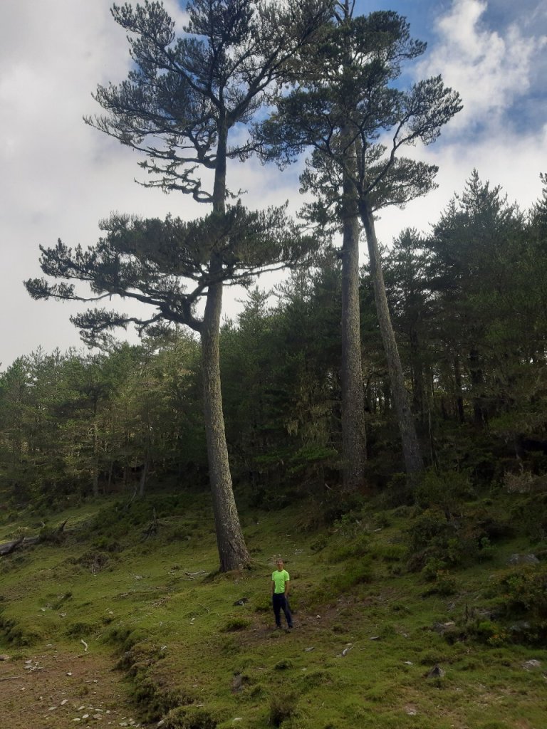 戒茂斯上新康下瓦拉米_655069