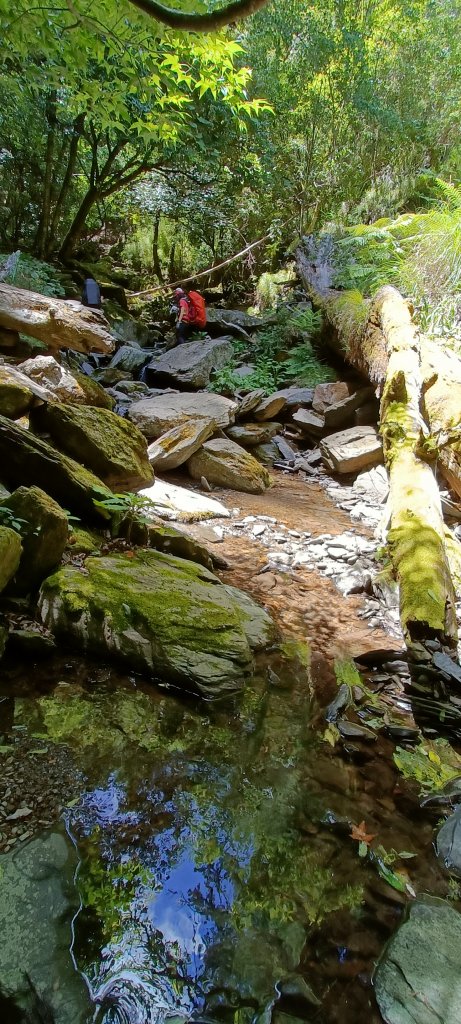 2022-07北一段_1776349