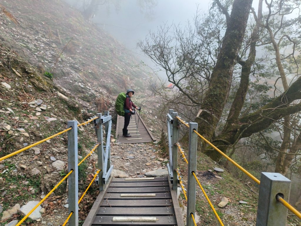 20240316 馬博8天縱走~第一天，東埔登山口到觀高工作站_2470733
