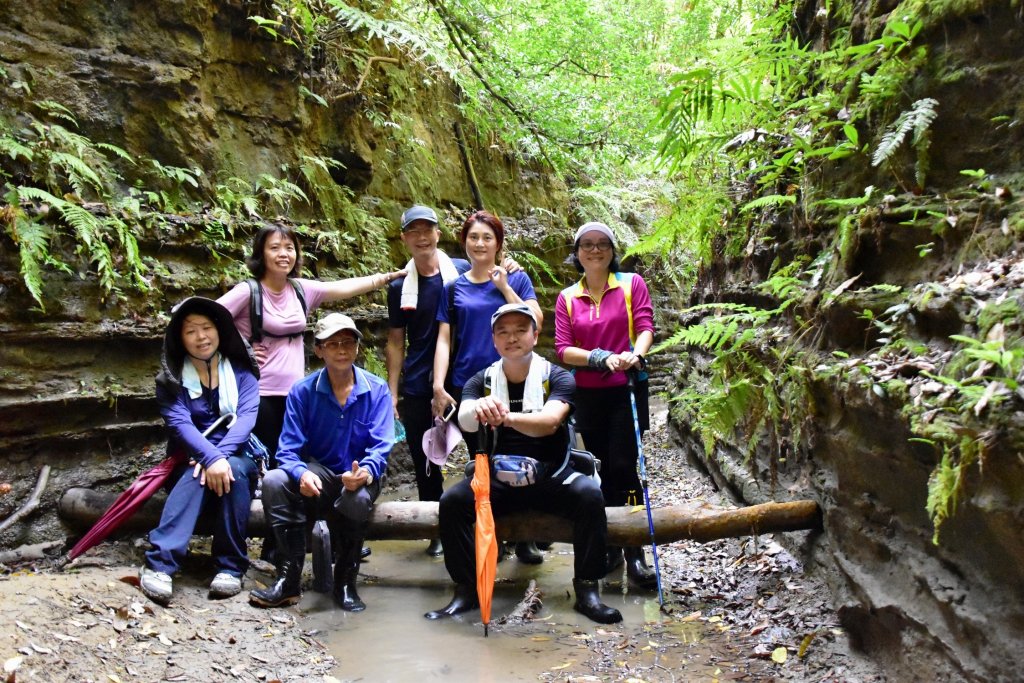 【苗栗】龍王峽谷秘境_1777854