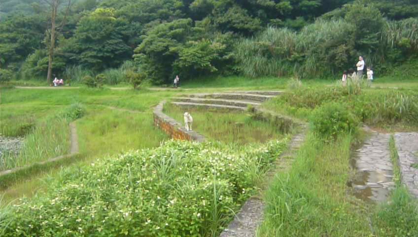 二子坪步道_980473