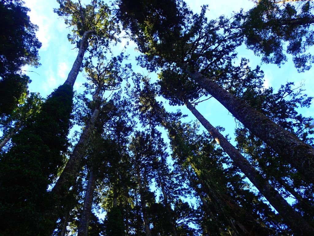 北一段 南湖前四峰_377712