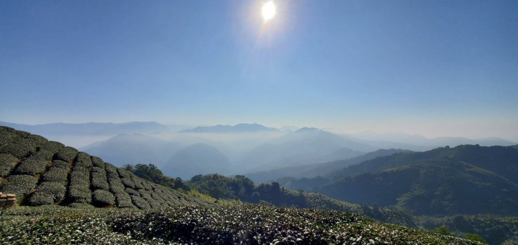 雲嘉5連峰封面圖