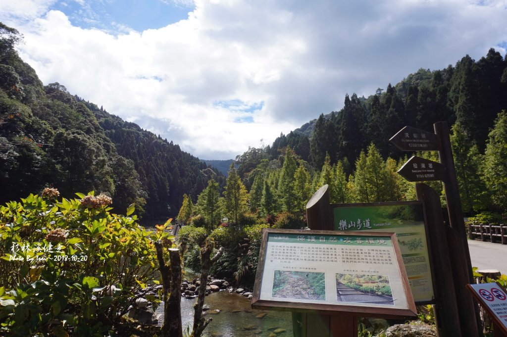 杉林溪森林健走20181020_448313