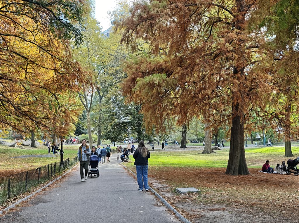 [紐約馬之行-10] 2025_1101 紐約中央公園封面圖