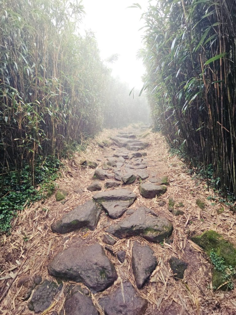 2025臺北大縱走第二段：二子坪至小油坑_2973501