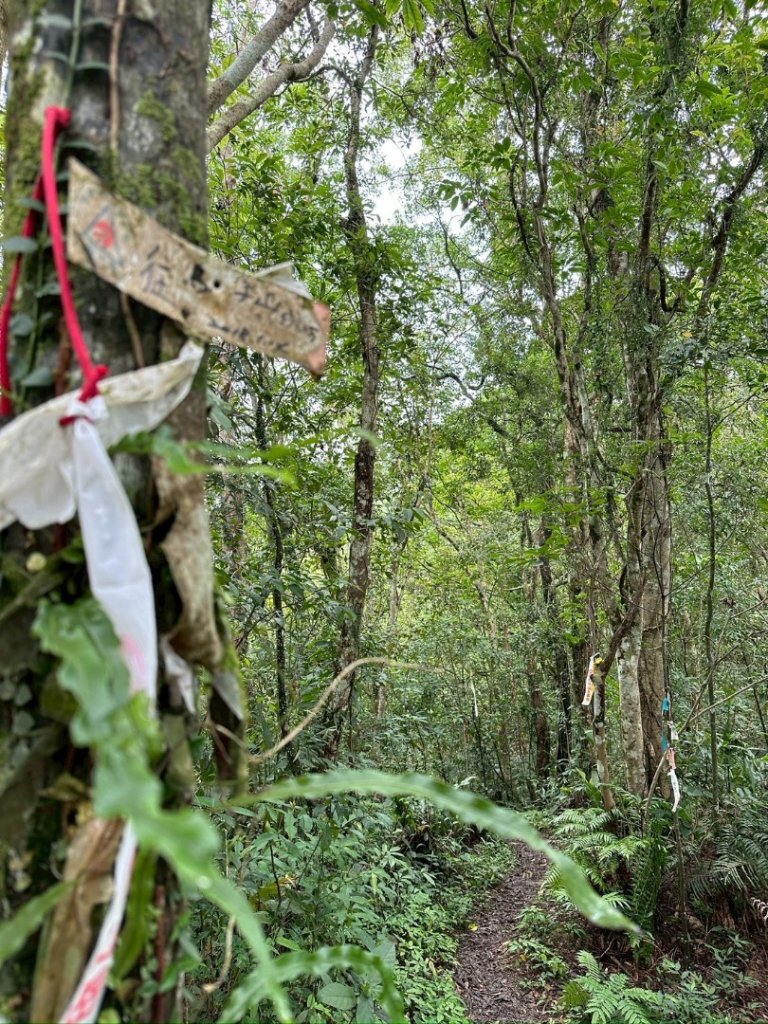 烏窟子山、獵貍尖山、黃櫸皮寮山、翡翠之眼O走_2809885