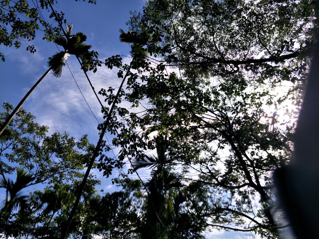 華山步道群20210505_1414784