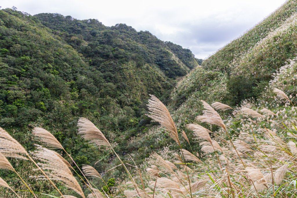 桶後越嶺_2950115