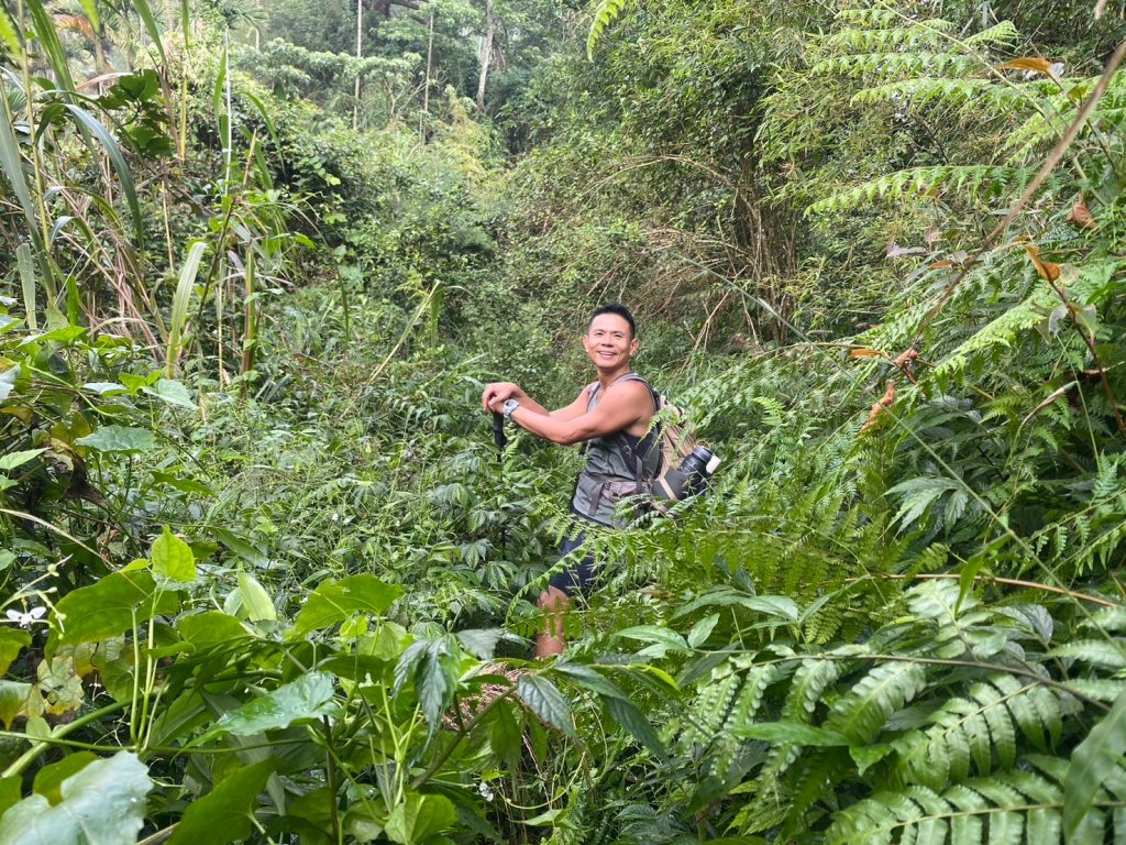 三寶山(烏心石山.鳩州嶺.尖凍山)步道【變成夢魘的大秘寶】封面圖