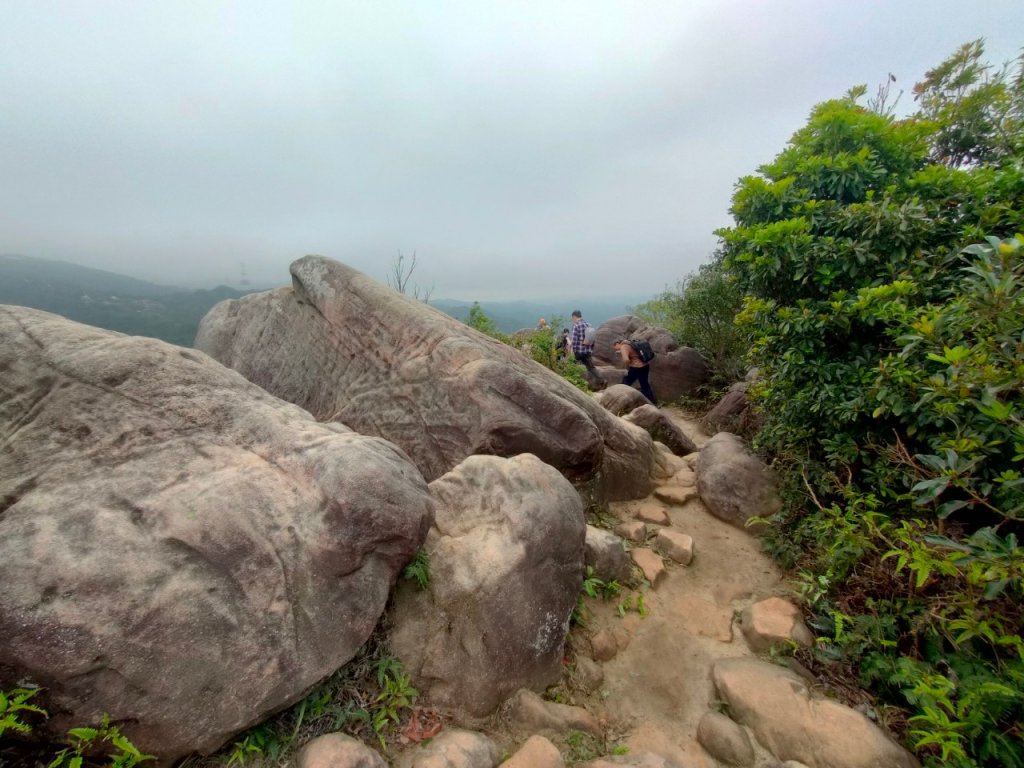 ［雙獅縱走］（內湖獅頭山~士林獅頭山）封面圖