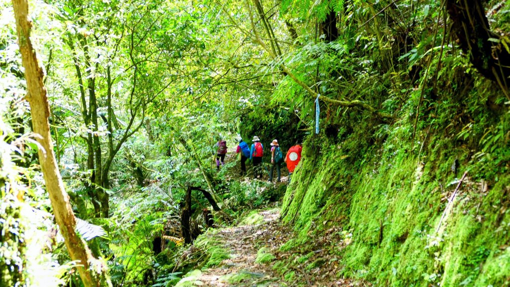 畝畝山。又上說_2768142