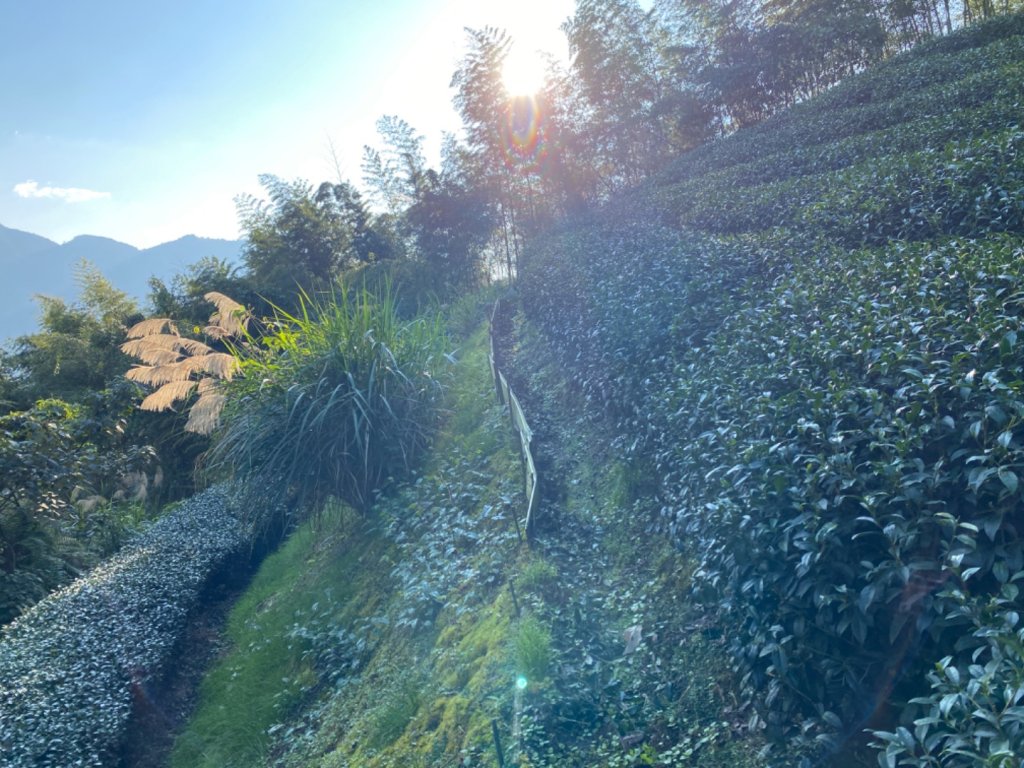 鹿谷小半天七連峰_2437218