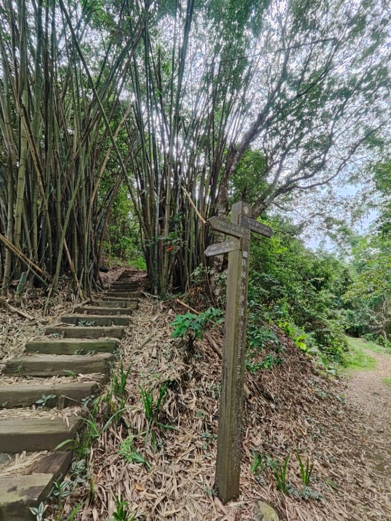 #64小百岳崁頭山、獅額山_2528555