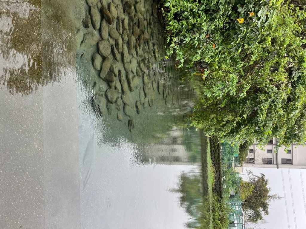 20241121_望龍埤步道封面圖