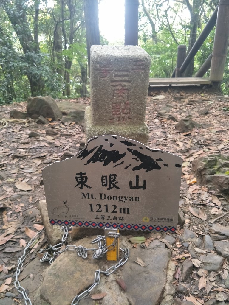 東眼山自導式步道_1714389