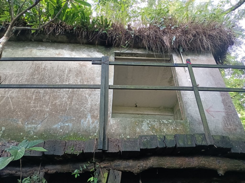 打鐵寮古道連走白石山（打石縱走）_1733636