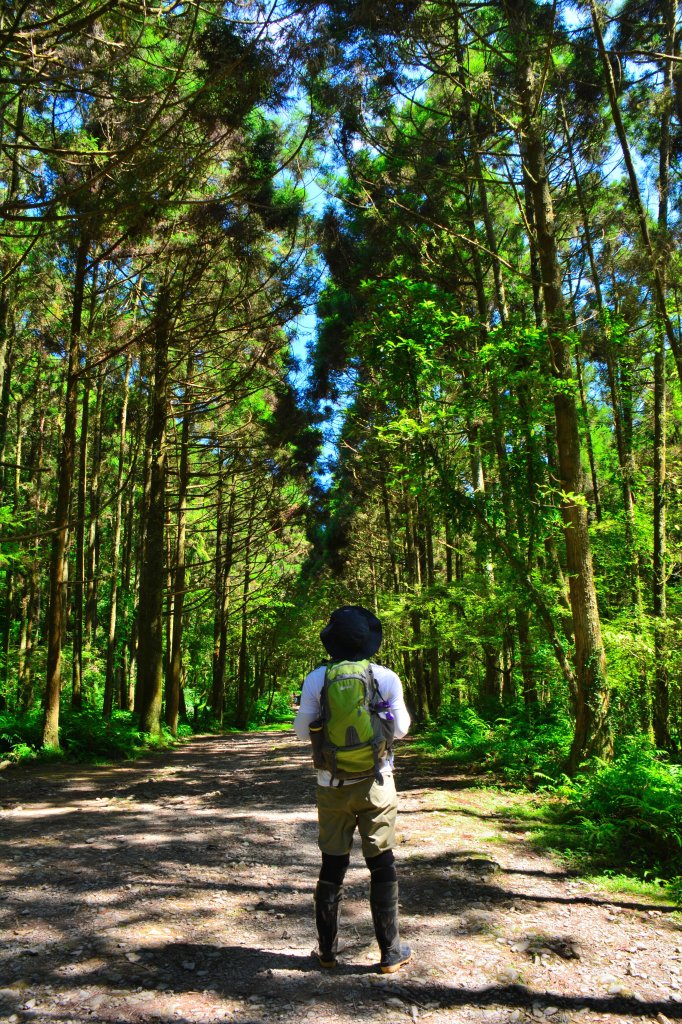 充滿禪意的坪溪古道_1455176