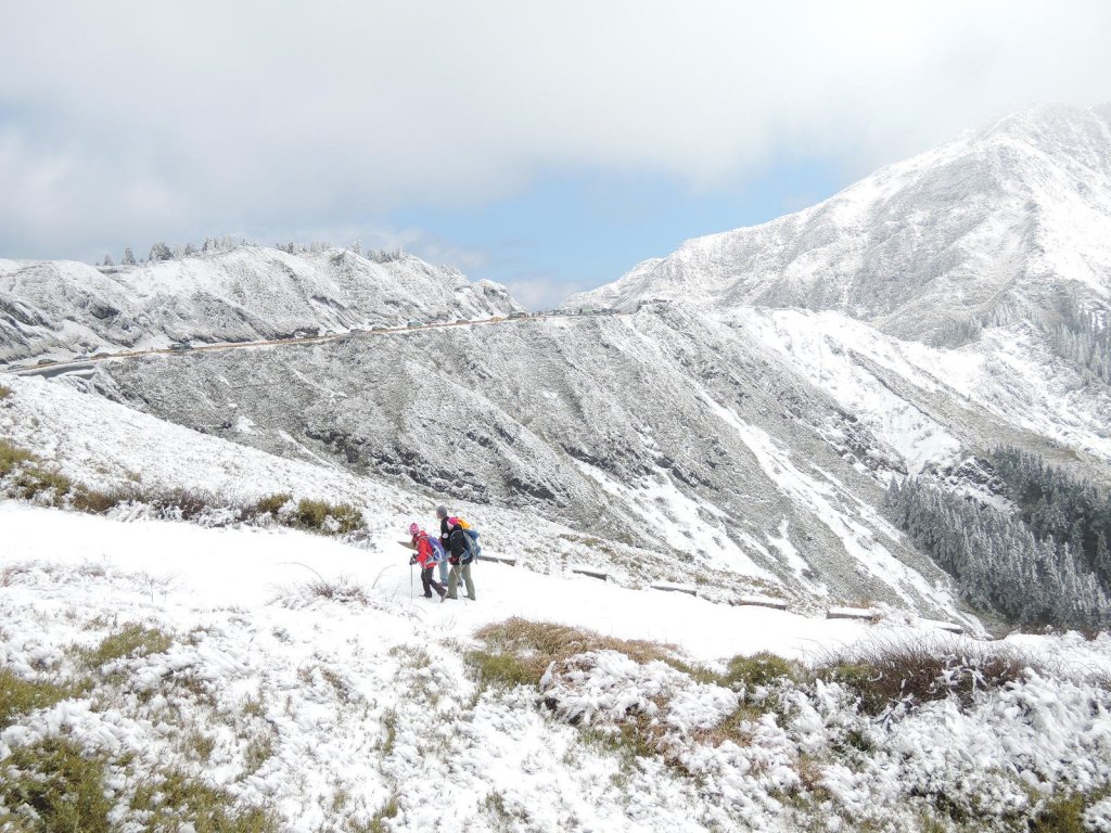 合歡山也有藏王樹冰的雪景_510342