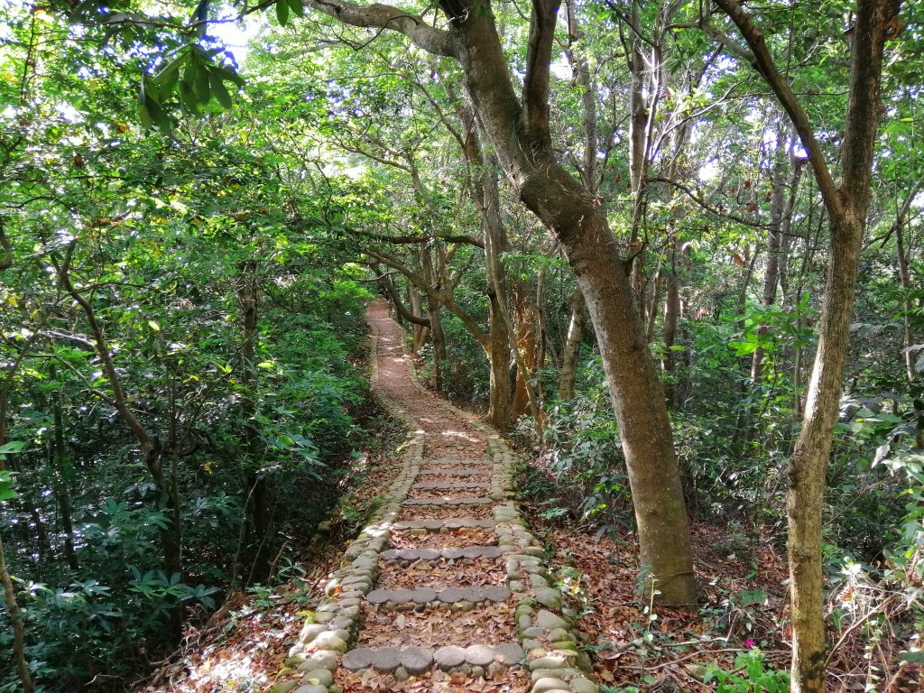 【彰化。員林】古樸悠靜。 待人坑隴頂古道_1087536