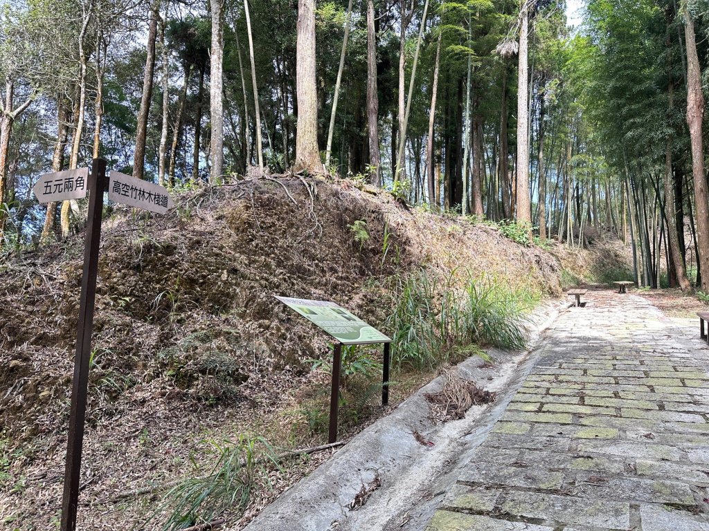 五元二角、雲嶺之丘 、番子田山、木馬古道_2451173