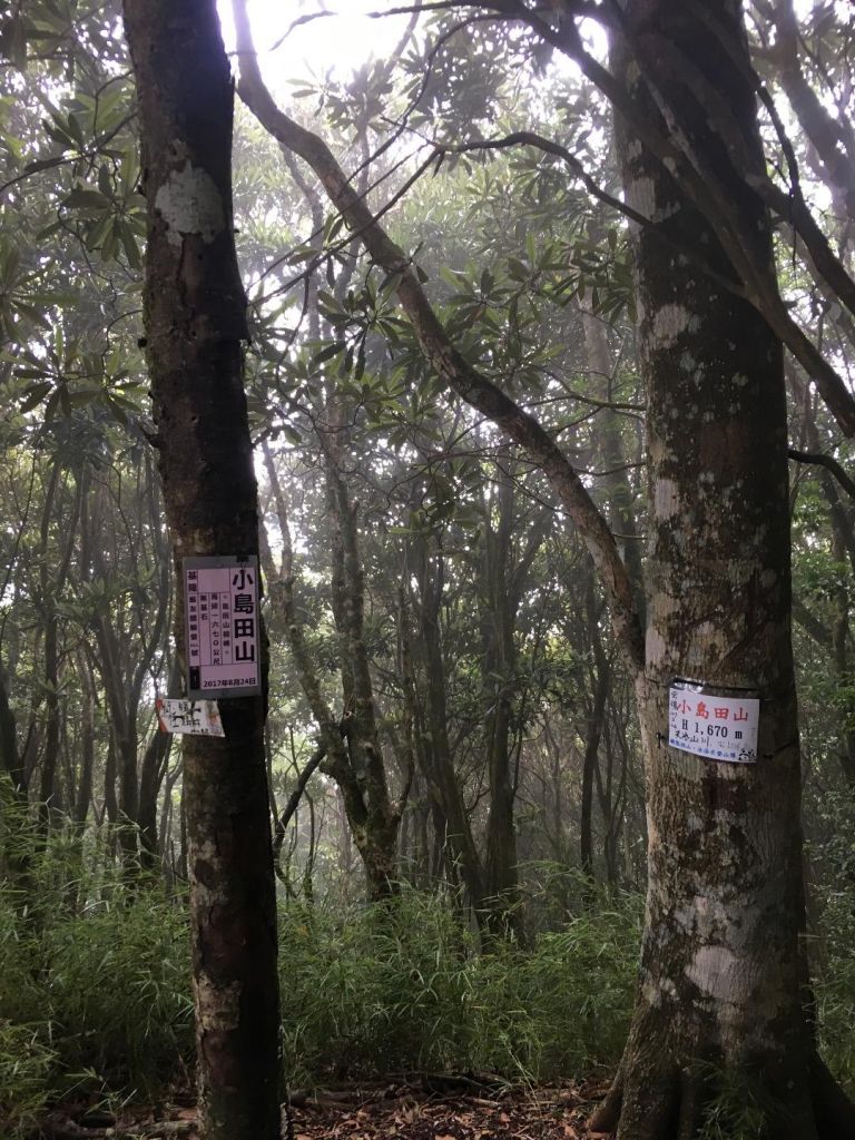 2018.08.04 高台山連走島田山_378728