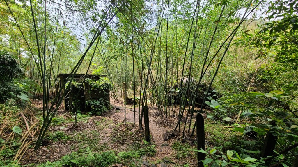 三貂嶺越嶺猴硐步道.貓村.猴硐坑博物館_2112523