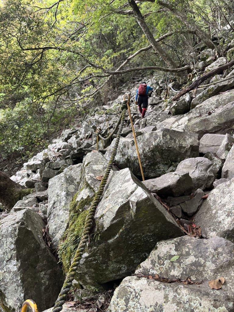 台中 和平 波津加山_2761897