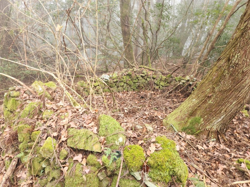 【中級山】芝生毛台山，芝生毛台山西峰，秀巒軍艦岩，屯野生步道，屯野生砲台_2745117