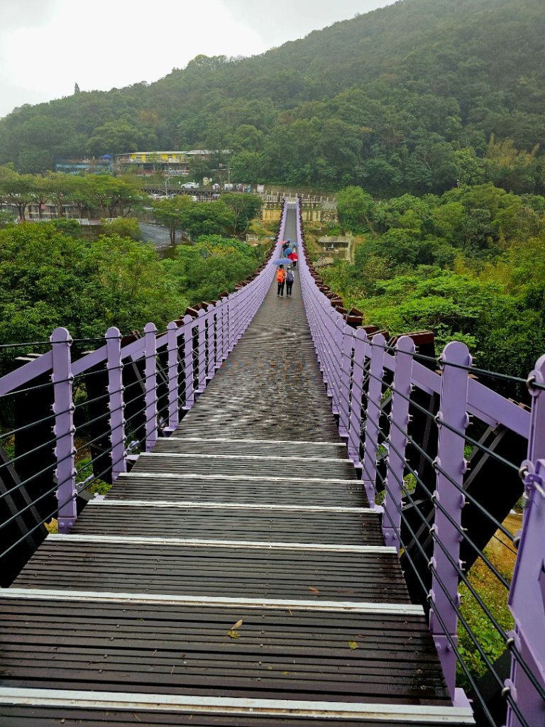 2025臺北大縱走第四段：風櫃口至中華科技大學_2973496