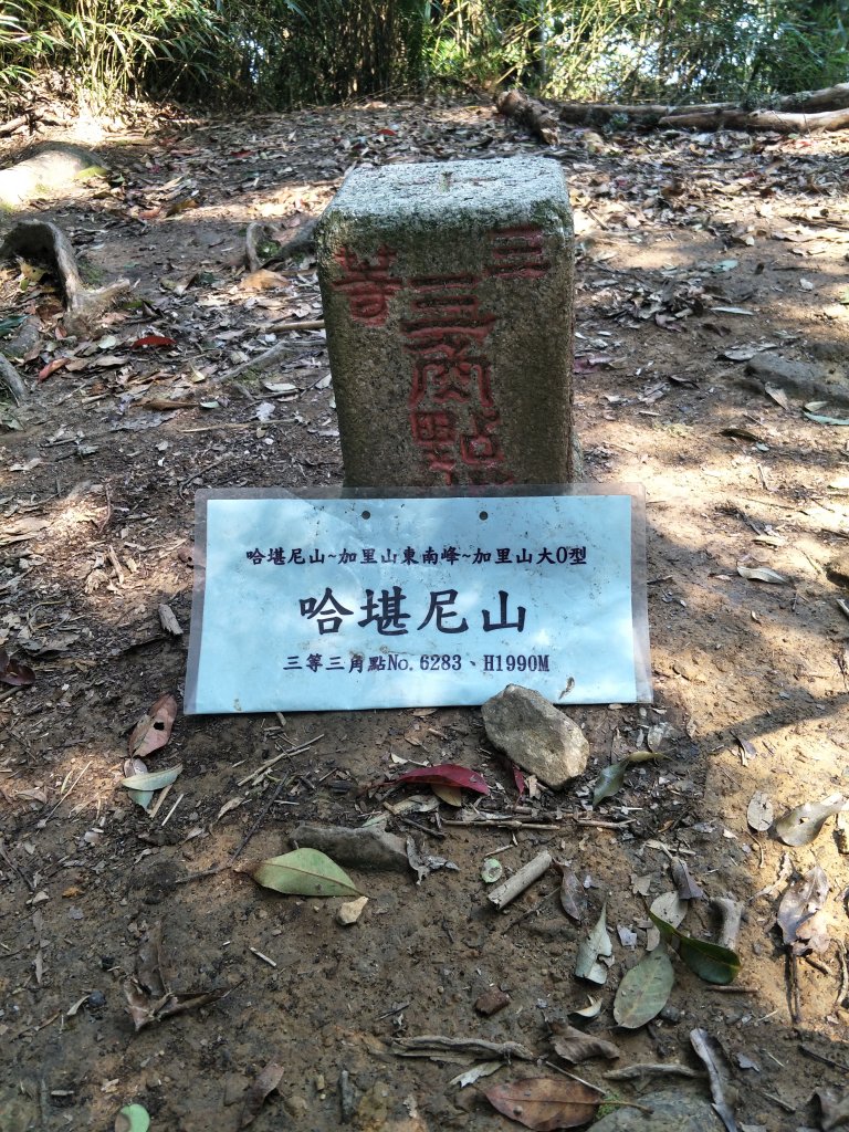 2019 03 28 哈加縱走_554029