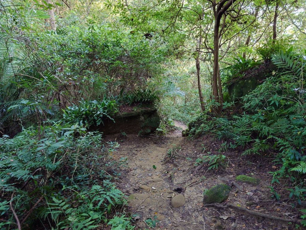 微笑山線之鳶山任務_2855503