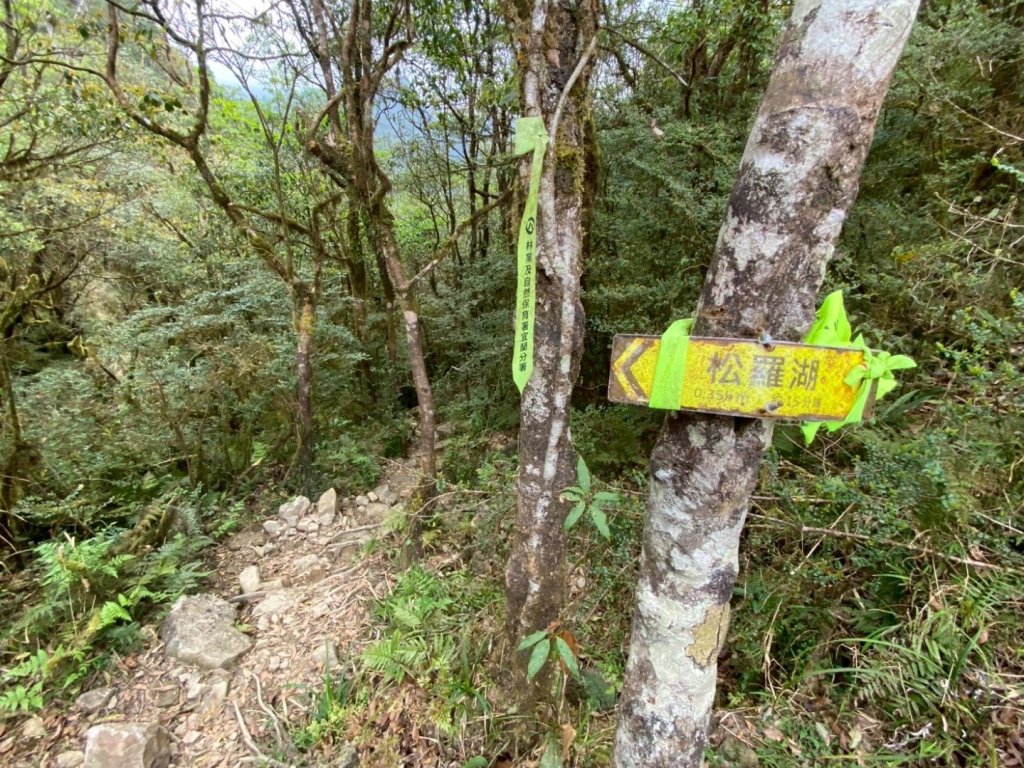 20240419-20松羅湖二天一夜封面圖