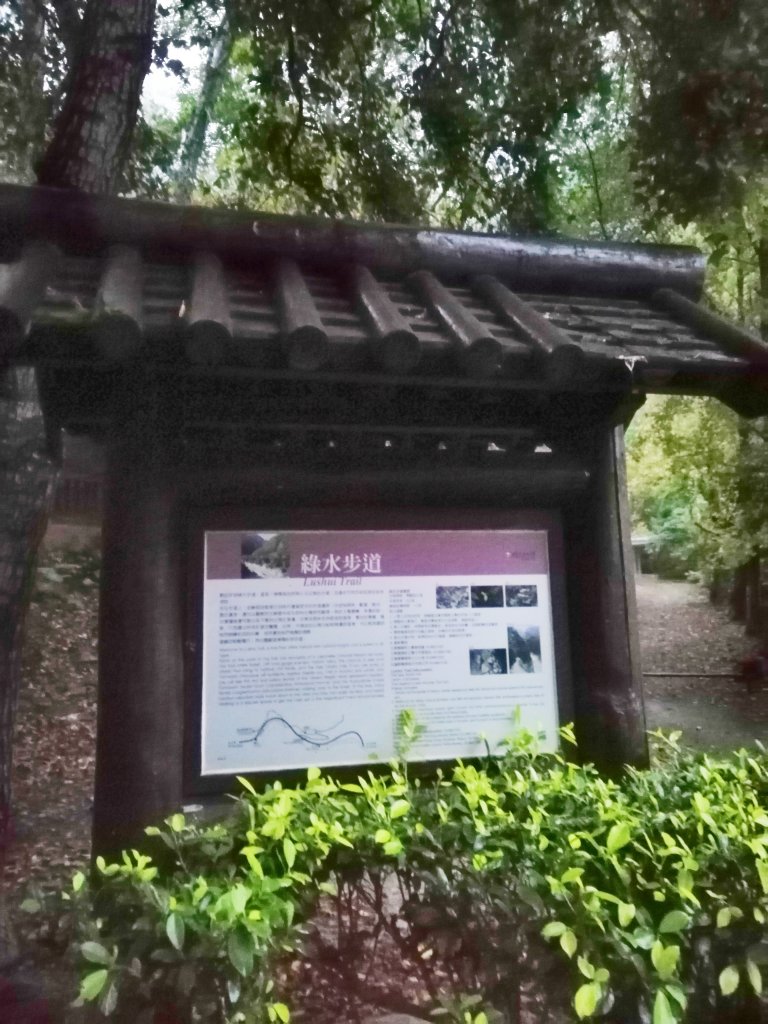 青山綠水雲霧繚繞。 綠水合流步道_769469