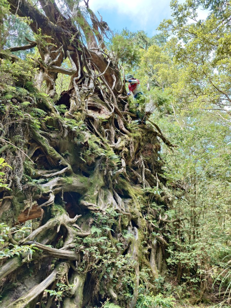 無言塔魔巴縱走_2637123