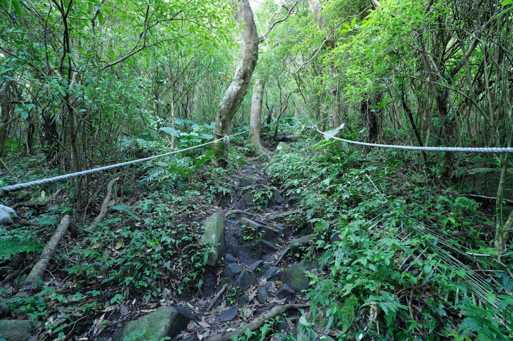新北 八里 觀音山、牛港稜山_2681335