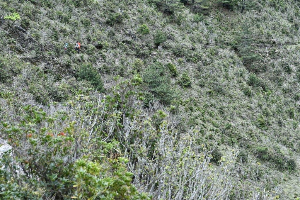 八通關上玉山_1025146